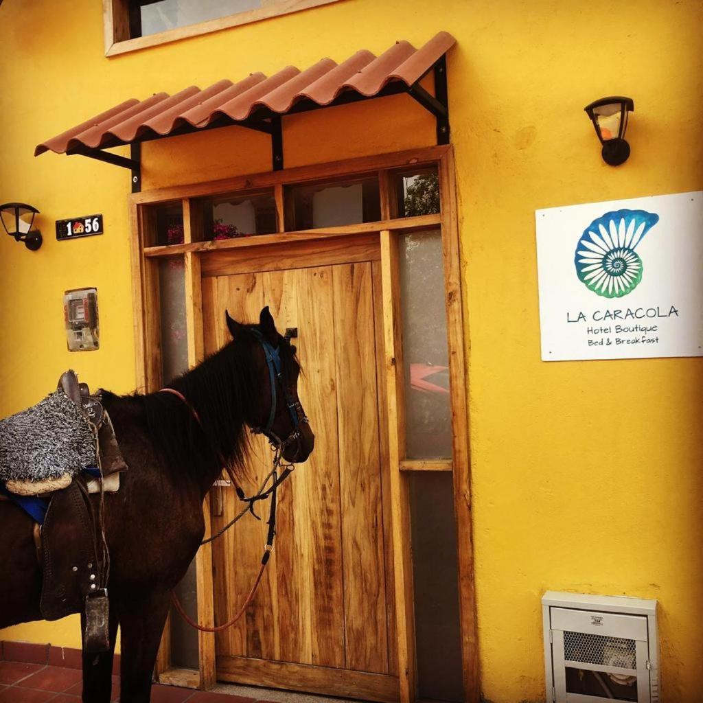 Hotel La Caracola Salento Zewnętrze zdjęcie